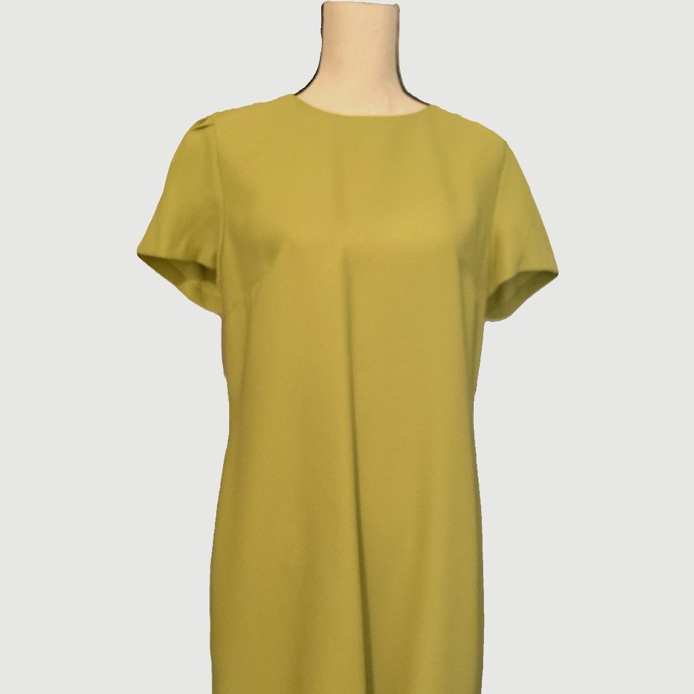 Banana Republic Shift Dress
